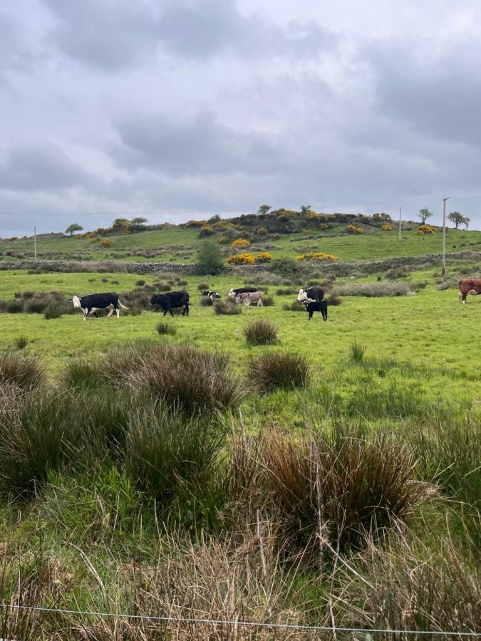 Lacken Farmyard Kilmihil Exterior foto