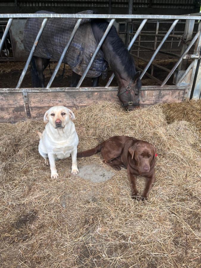 Lacken Farmyard Kilmihil Exterior foto