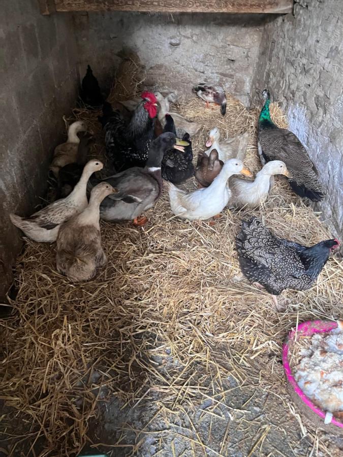 Lacken Farmyard Kilmihil Exterior foto
